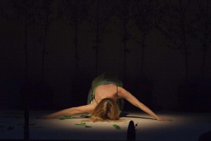 2017,NATURA ARTE-FATTA,palazzo delle stelline,MILANO (56).jpg